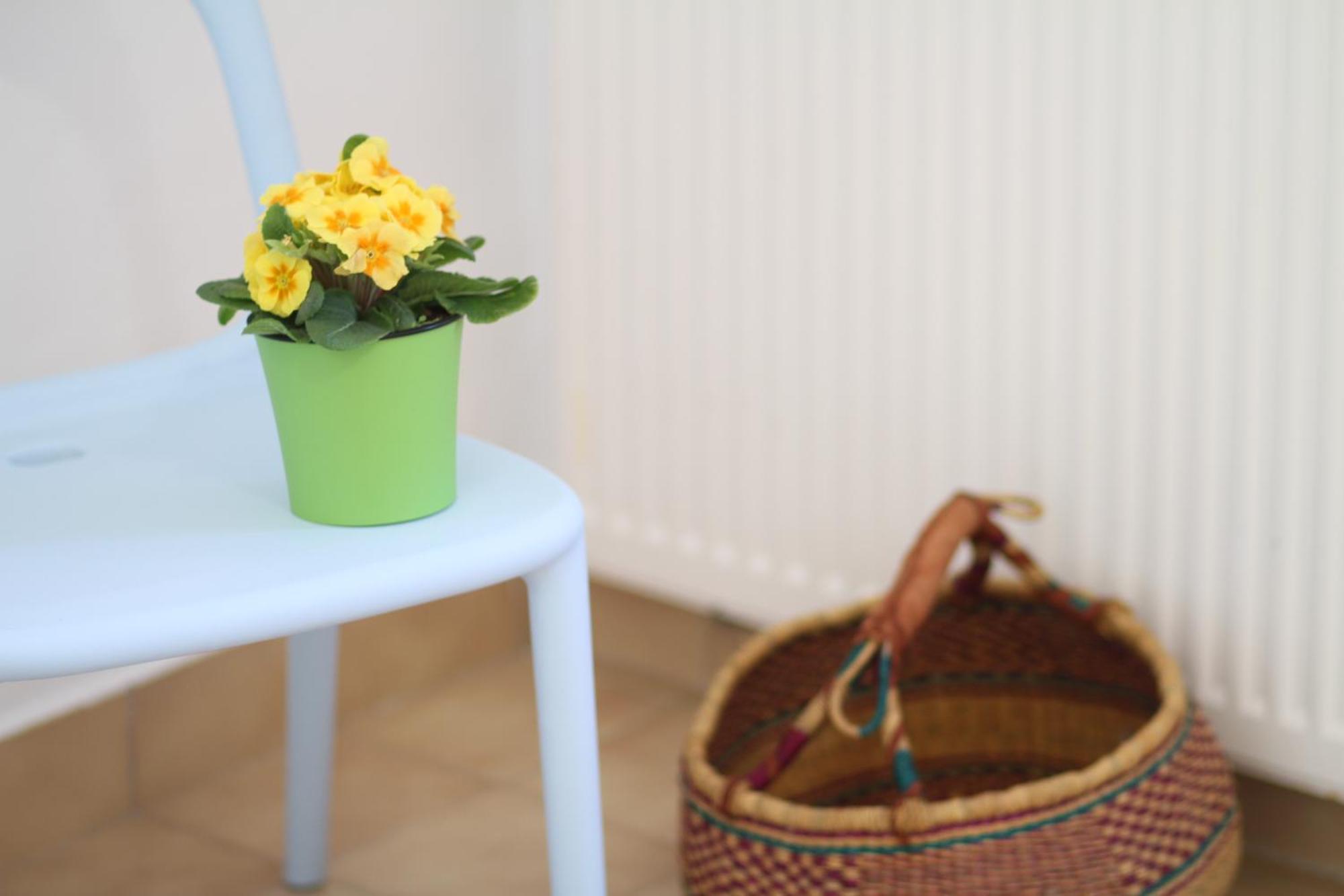 Apartament - Compartir Cadaqués Εξωτερικό φωτογραφία